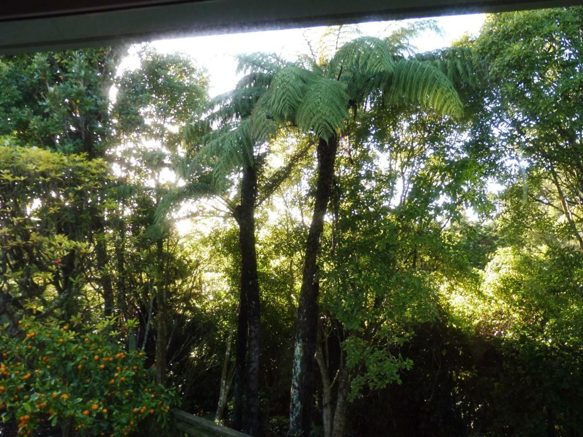 Hideaway Off Heta Appartement New Plymouth Buitenkant foto